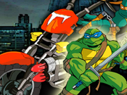 Thumbnail of Turtles Racing
